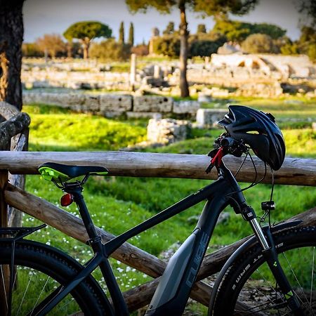 Villa Claudianna Bed & Bike เพสตุม ภายนอก รูปภาพ