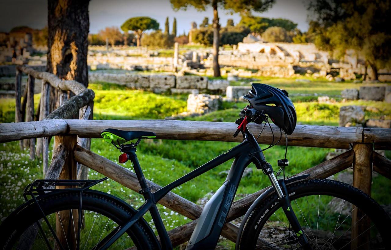 Villa Claudianna Bed & Bike เพสตุม ภายนอก รูปภาพ